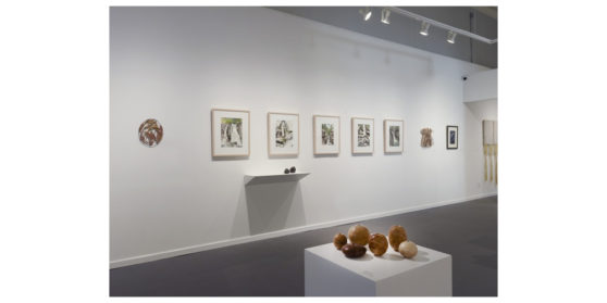 Momentum Gallery