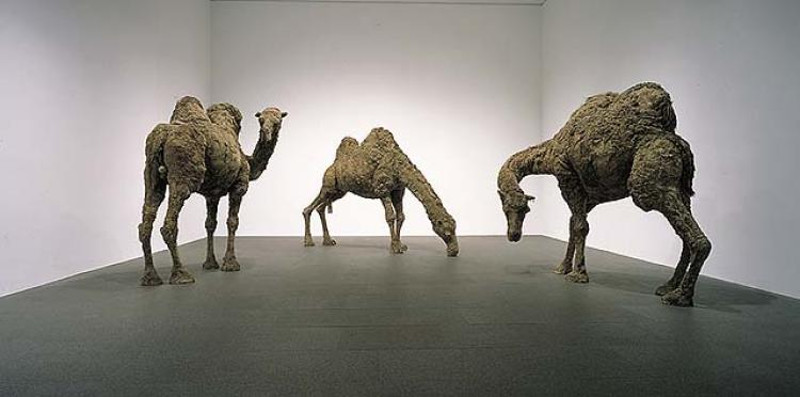 Nancy Graves - Camel VI, VII, VIII, work exhibited at New York privacy gallery