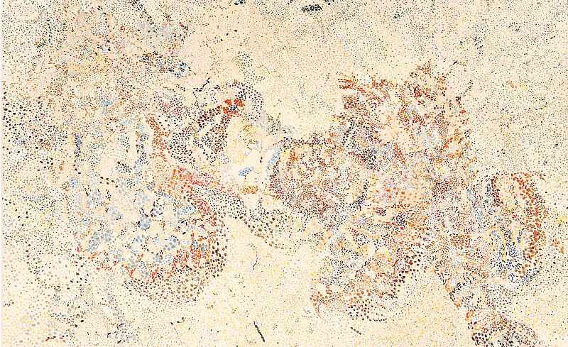 Nancy Graves - Camouflage Series #1 works including 1980 terms in gallery, 1971