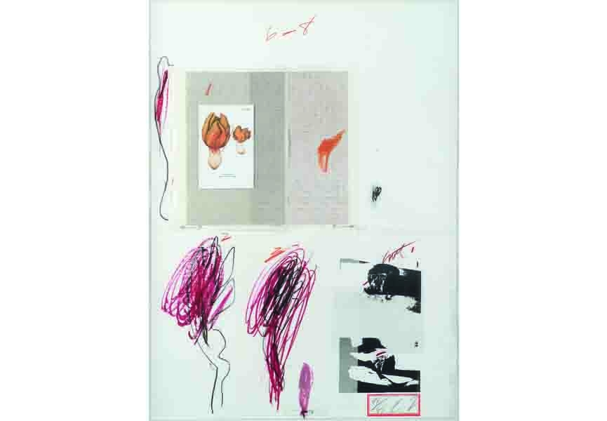 Cy Twombly - Natural History I Mushrooms