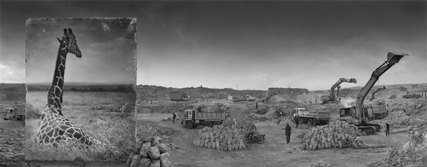 nick brandt photography