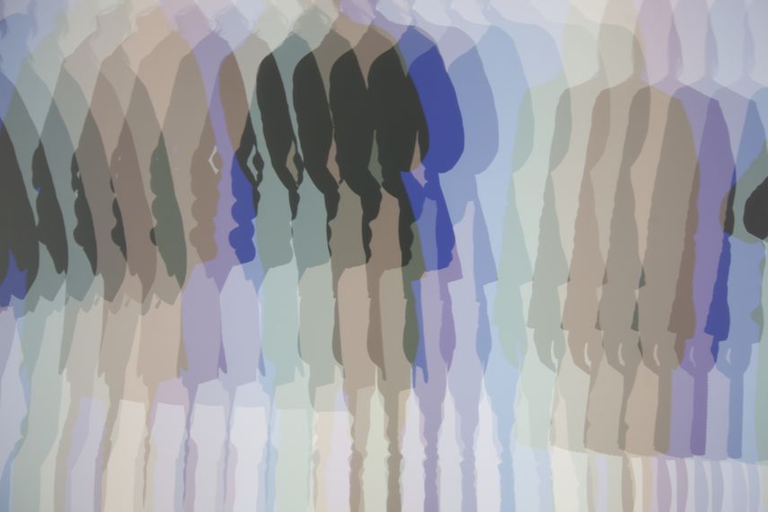 Multiple shadow house, 2010