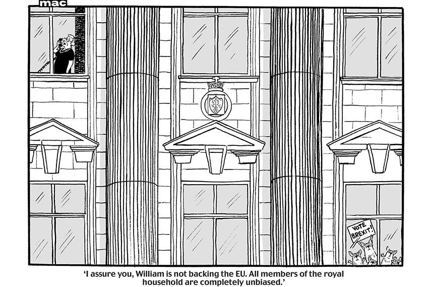 political cartoon exhibition