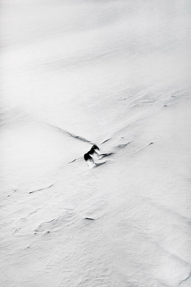 Paolo Pellegrin - NASA IceBridge