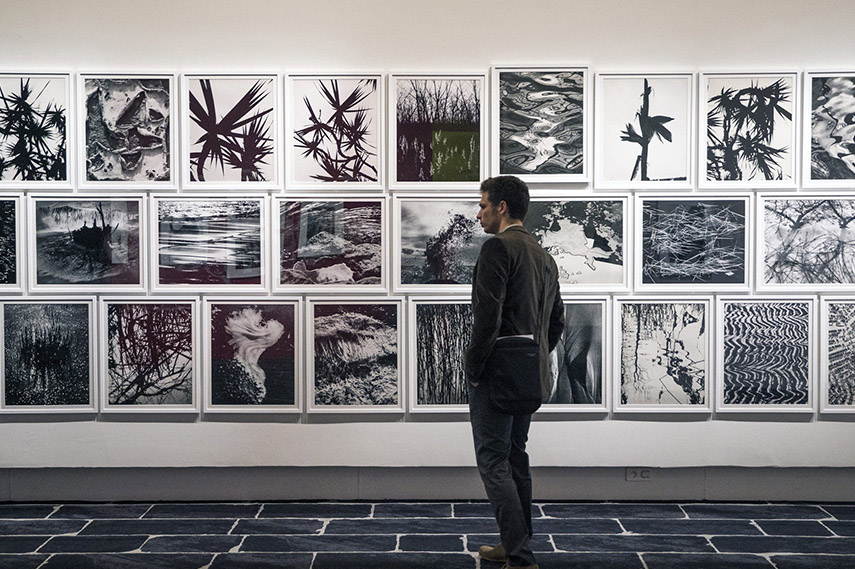 Paris Photo art fair