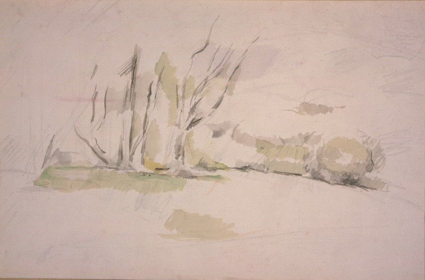 Paul Cézanne - Study of Trees, La Lisiere, c. 1895