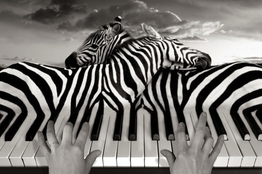 Thomas Barbey artwork