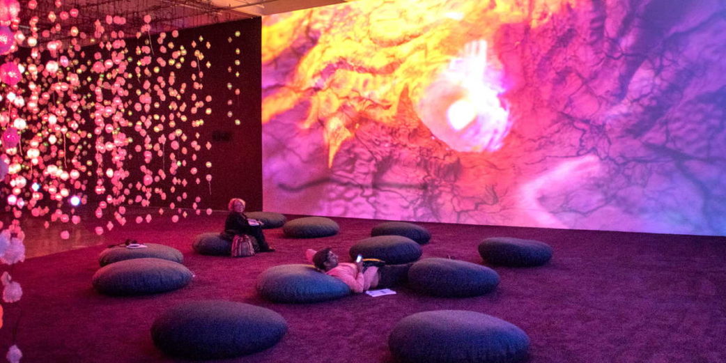 Pipilotti Rist contact