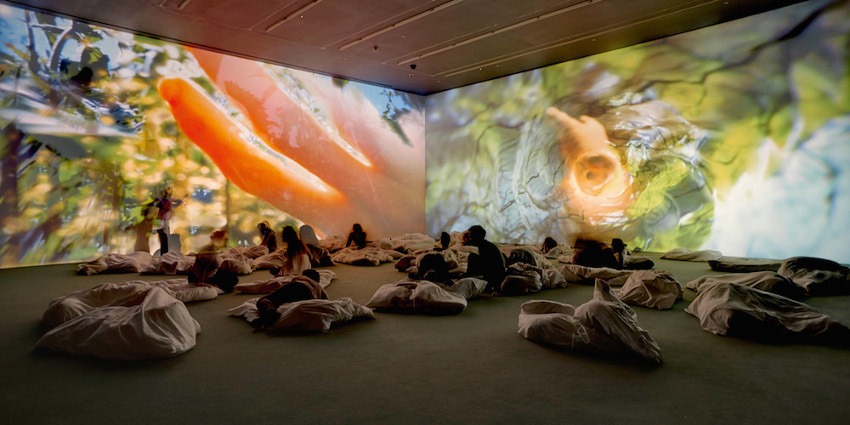 Pipilotti Rist - channel arts on view in news