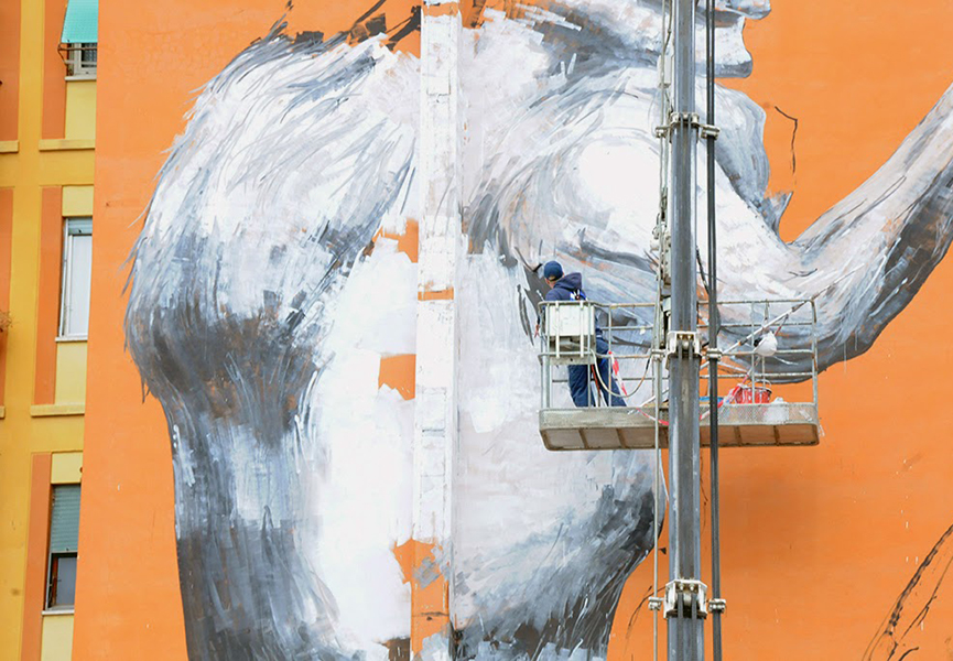 New Zealand street art