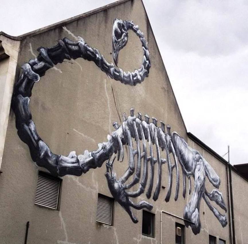 New Zealand street art