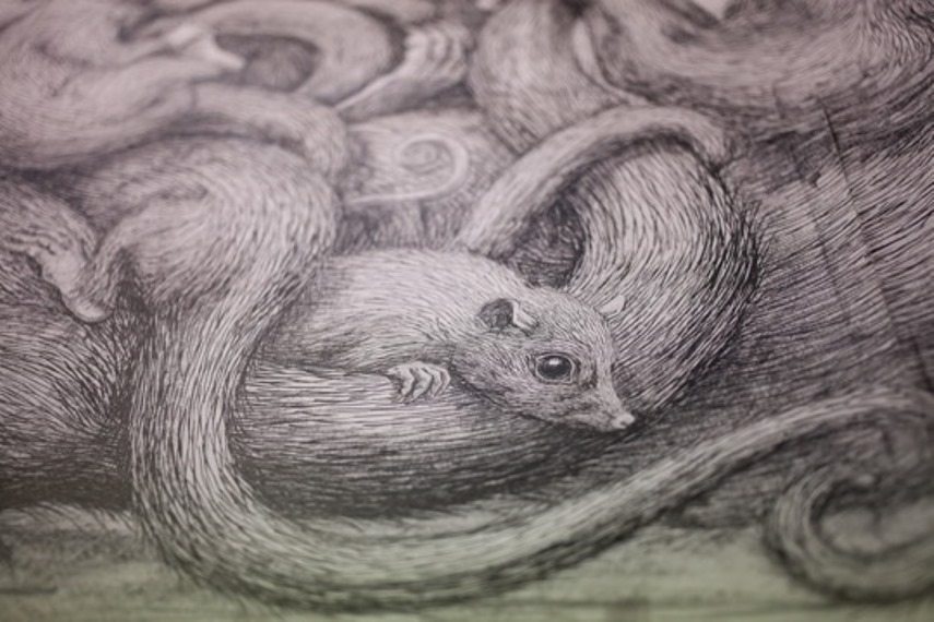 ROA exhibition