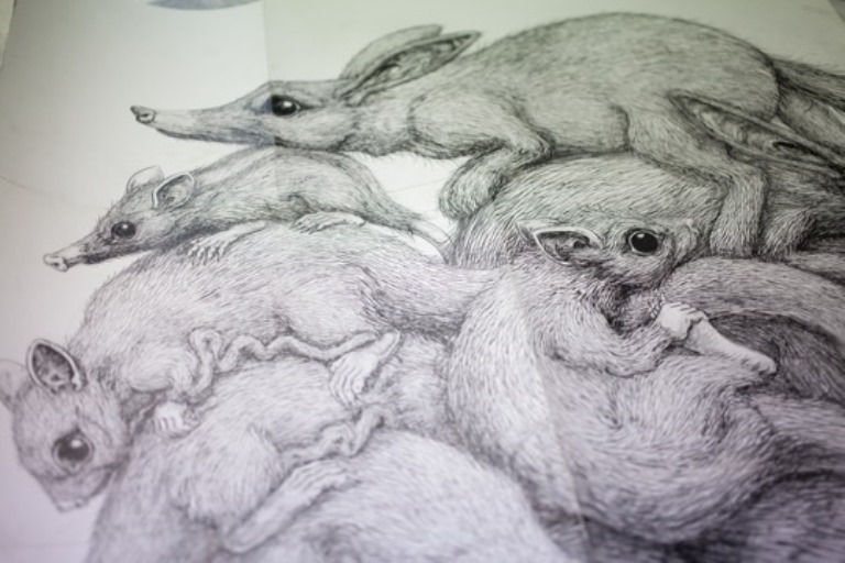 ROA exhibition