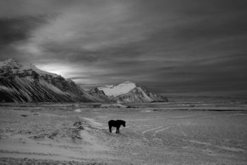 Most Important Aspects of Black and White Landscape Photography | Widewalls