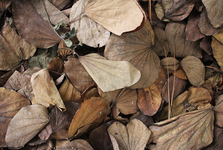 Renata De Bonis - The stranger (24C) detail 2015