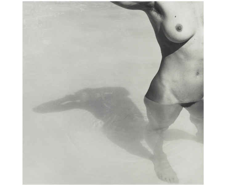 Sotheby's auction recap