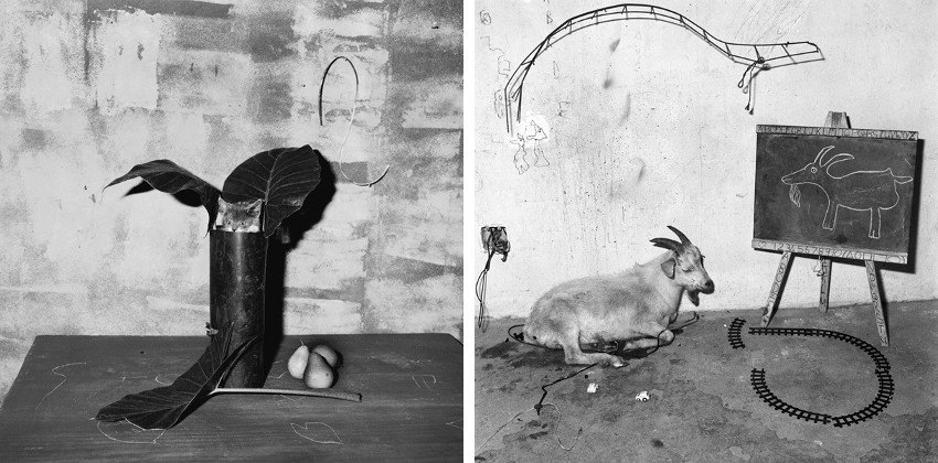 roger ballen biography