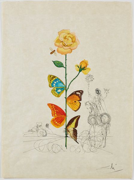 salvador dali flower