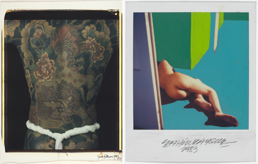 Sandi Fellman - Grey Lion, Tokyo, Japan, 1983 - Şahin Kaygun - Nude, 1983
