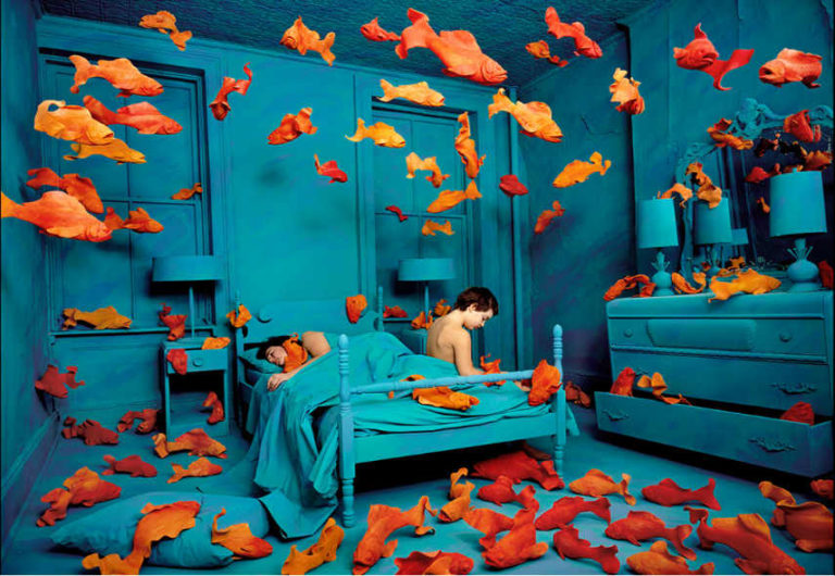 Biography Of Sandy Skoglund Widewalls