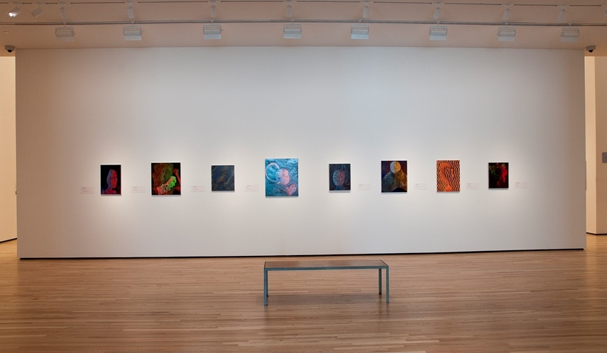 Sascha Braunig - Surreal Selves. Installation view, Baltimore Museum of Art, 2013