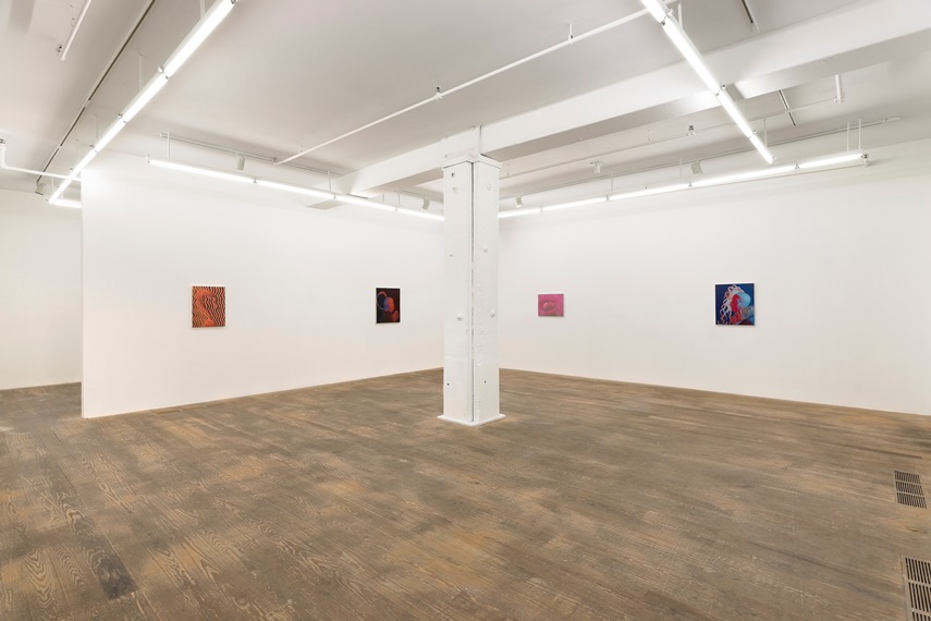Sascha Braunig - Wrister, Blister, Plaster. Installation view, Foxy Production, New York, 2013.