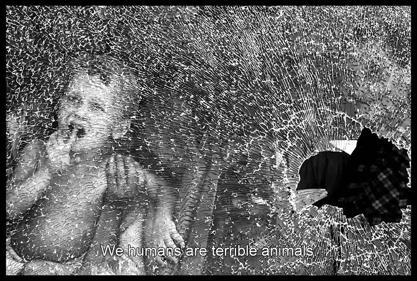 Sebastiao Salgado: The Salt of the Earth