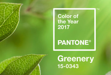 Shade Of The Pantone Greenery Color Of The Year 2017. Image Via Dexinger.com  370x250 