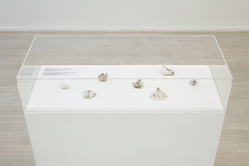 Shimabuku - Octopus Stone, 2013