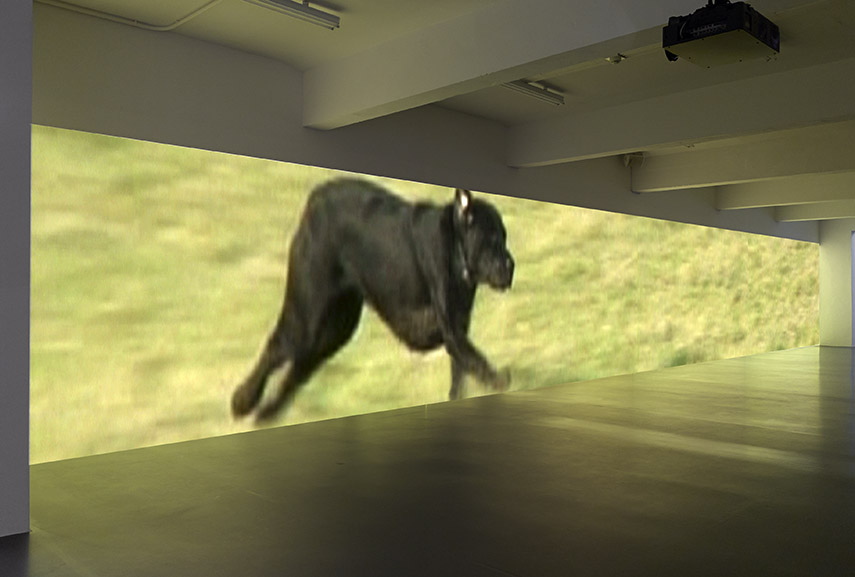 Sturtevant - Finite-Infinite, 2010