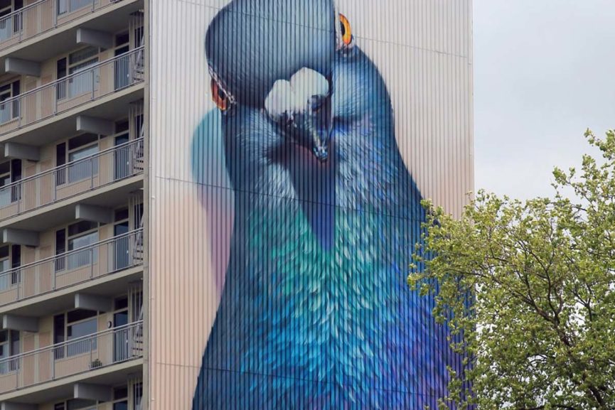 Top 10 Widewalls Instagrams of June Widewalls