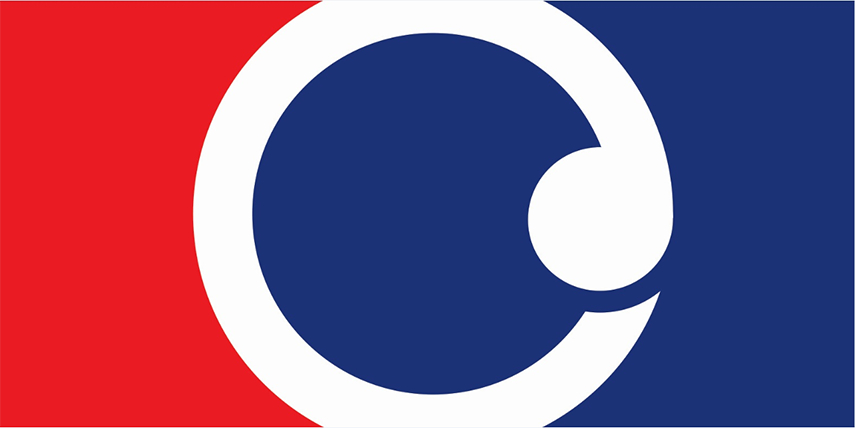 New Design fern red blue New Zealanders Flag