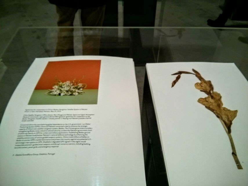 Venice Biennale 2015