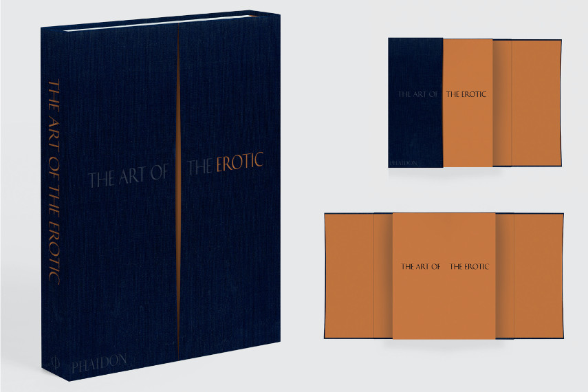 The Art of the Erotic Bookshot