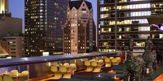 THE STANDARD DOWNTOWN LA HOTEL Los Angeles