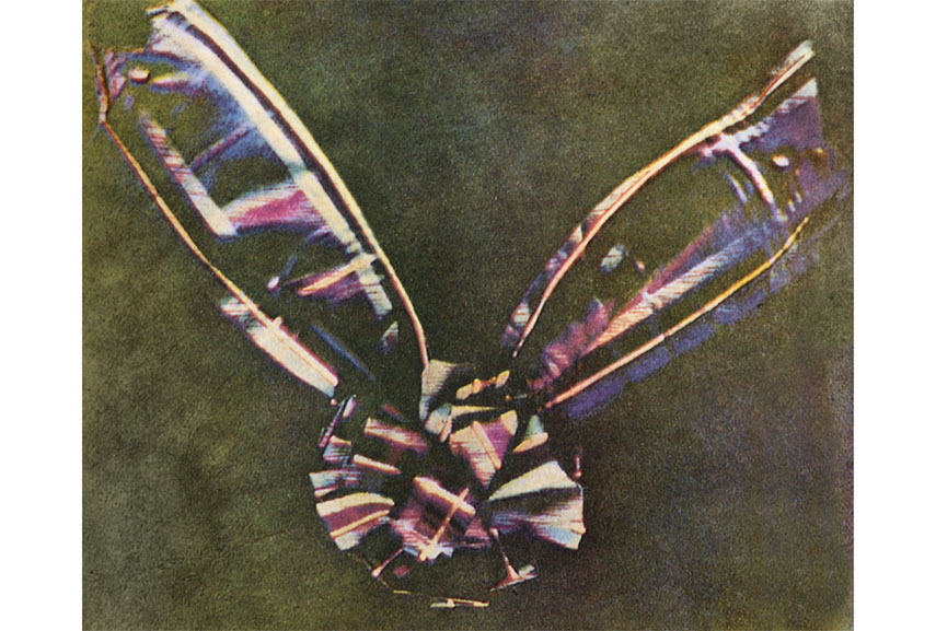 The first color photography or colour photography photograph made by the three-color method