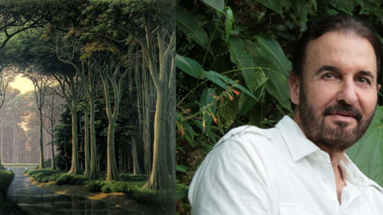 Biography of Tomas Sanchez Widewalls