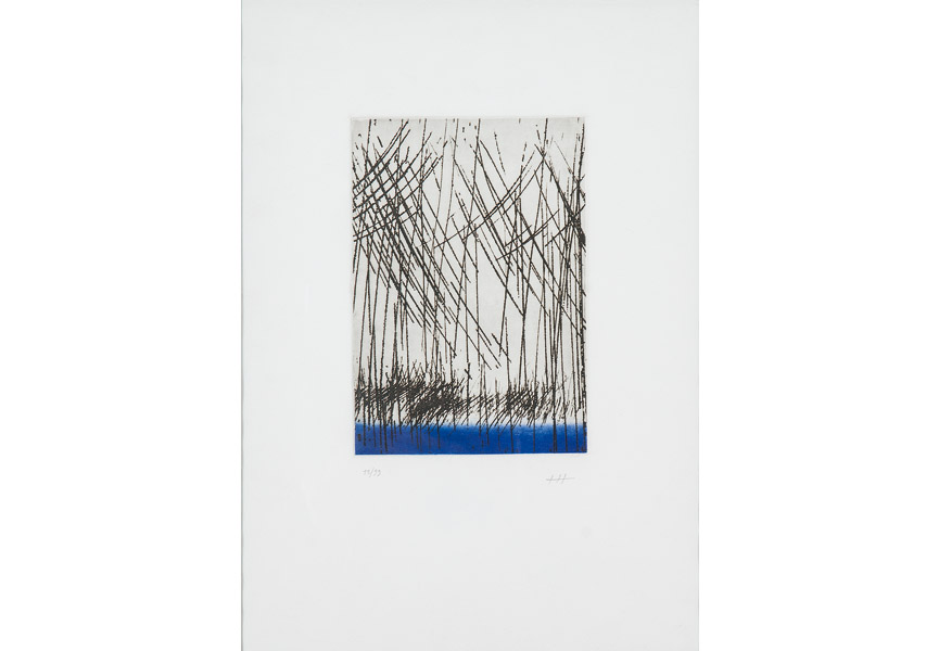 Hans Hartung - Unst uns Wissenchaft