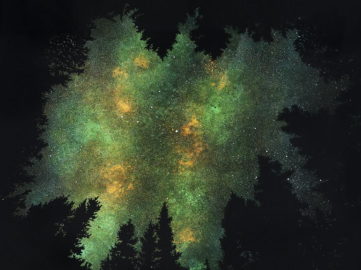 Vanessa Marsh - Trees 3, detail