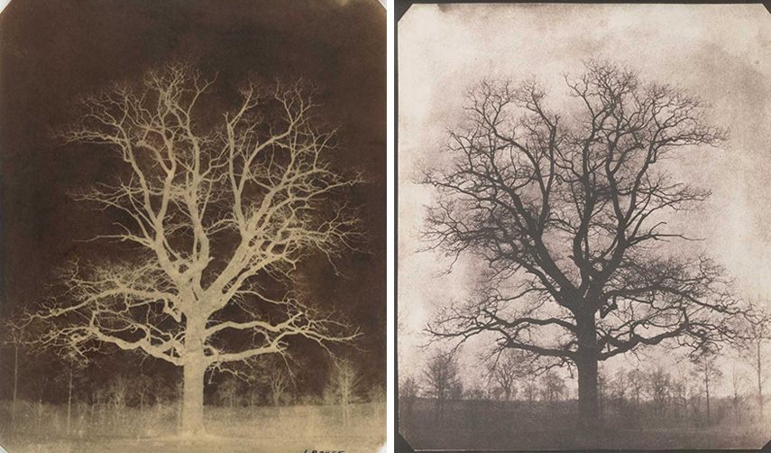 Photograms are made in the darkroom with a support of photo chemicals and film. In such way, the artists can make cameraless photography