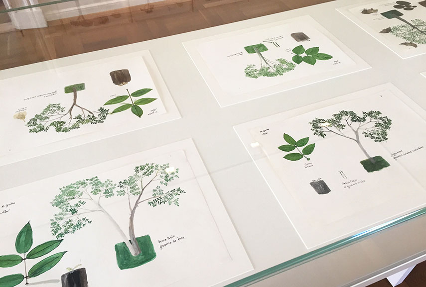 Works by Abel Rodriquez