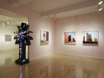 Yto Barrada at Pace, Installation View