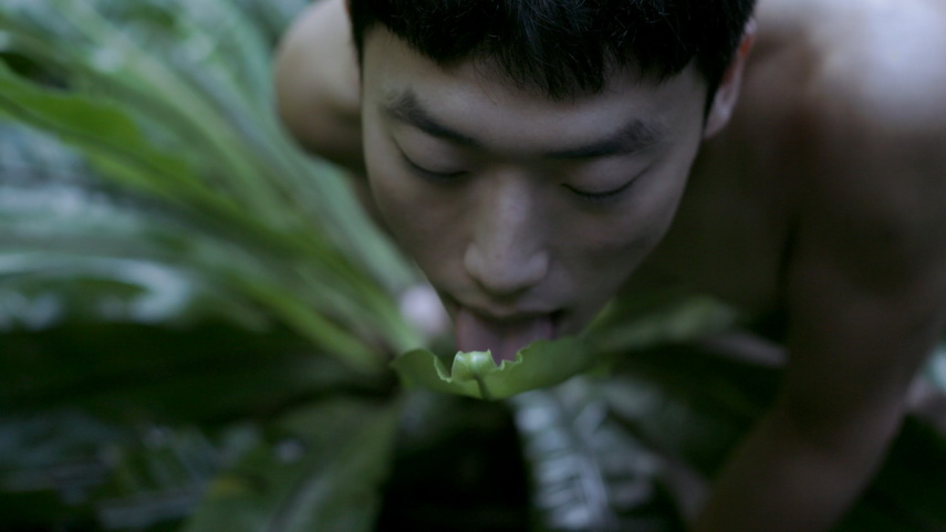 Zheng Bo - Pteridophilia 2