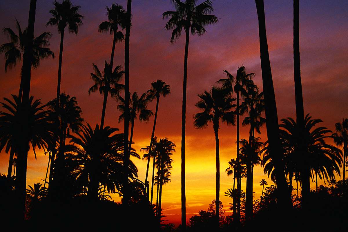 Art Schools In California >> Which Are The Best Art Schools In California Widewalls Art Schools In California >> Which Are The Best Art Schools In California Widewalls