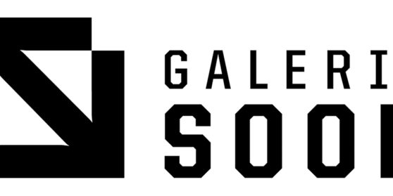 GALERIE SOON Bern