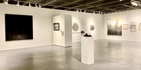 PAN AMERICAN ART PROJECTS